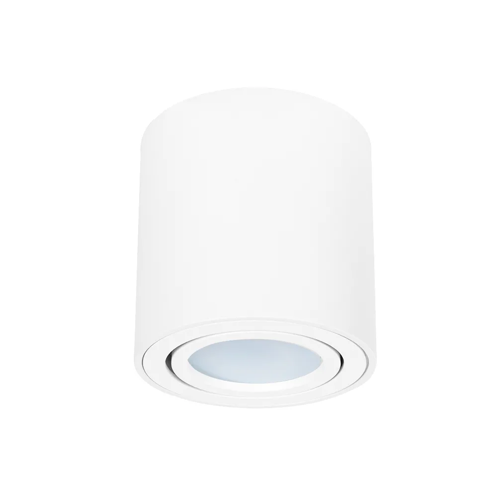 Точечный накладной светильник ARTE LAMP BEID A1513PL-1WH