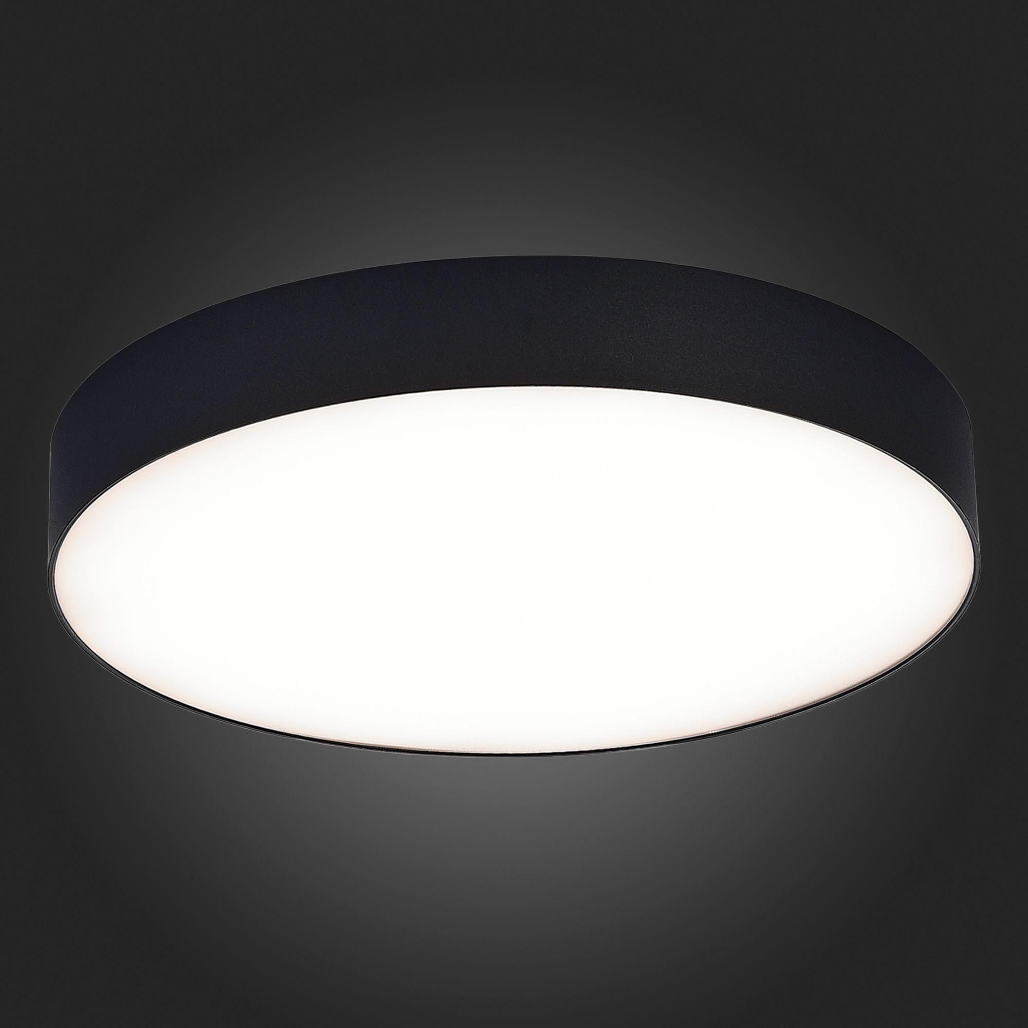 Потолочный светильник Черный LED 185-265V St Luce ST606.442.48