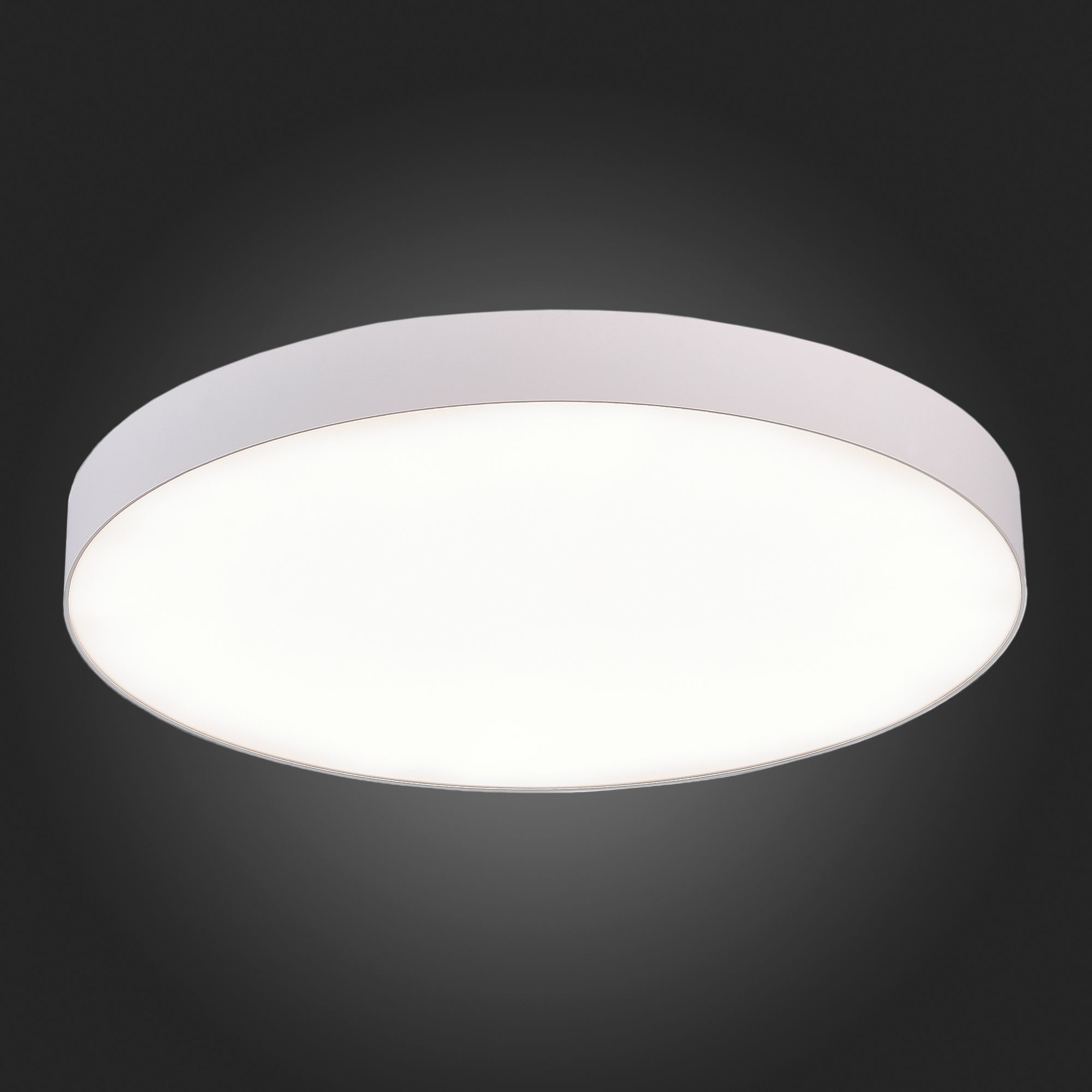 Потолочный светильник Белый LED 185-265V St Luce ST606.542.96