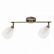 Спот потолочный ARTE LAMP BIHAM A3184PL-2AB