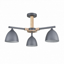 Люстра на штанге LUMION COLANGE 8096/3C