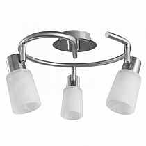 Спот потолочный ARTE Lamp Cavalletta A4510PL-3SS