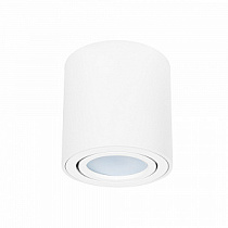 Точечный накладной светильник ARTE LAMP BEID A1513PL-1WH