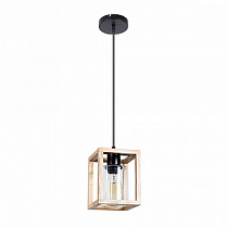 Подвесной светильник ARTE LAMP DUBLIN A7025SP-1BK