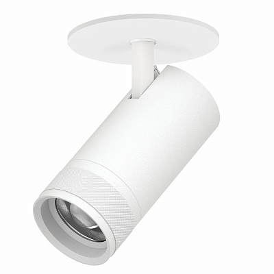 Спот потолочный Lightstar Canno Pro C4306RS